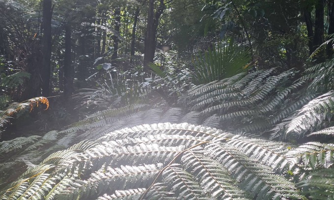 Amodeo Bay Maison | Nature at its very best park like lawn, stuning stream, fire pit pet friendly!