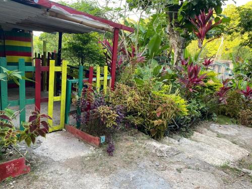 Port Antonio Appartement | Nature in portland Eco Villas