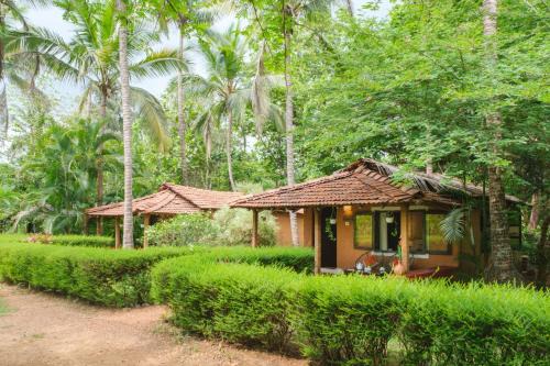 Sancordem Autre | Nature's Nest Eco Resort Goa, Near Dudhsagar Waterfalls