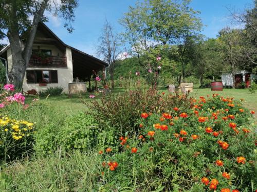 Varvolgy Appartement | NATURKERT Vendégház