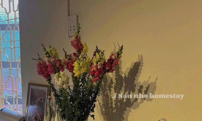 Ngo Quyen Appartement | Nau Nho Homestay