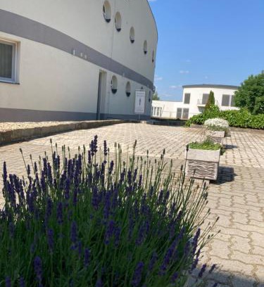 Dabas Maison | Nautilus Étterem és Panzió