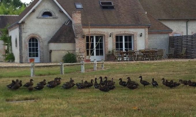 Villeherviers Cottage | Magnifique gîte, bord de rivière la Sauldre, piscine & tennis, 8-11pers, SOLOGNE
