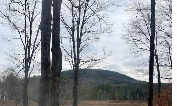 Canaan Maison | Near Skiing! Hot Tub, Wood Stove, Pool Table, & Theater Room. Pet friendly!