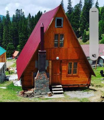Bakhmaro Chalet De Ski | Near the forest