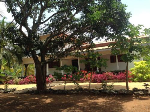 Pallama Maison | Neem Tree Villa