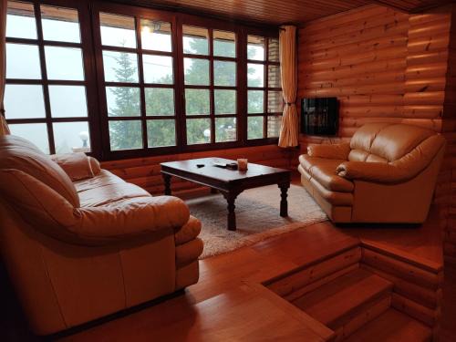 Eptalofos Appartement | 'Nest' The Wooden Suite by Ski Alure