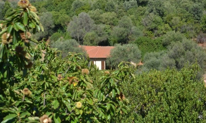 Iglesias Maison | Nestled in greenery