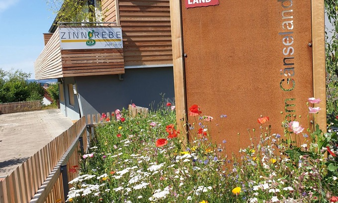 Meinhard Appartement | Neue Ferienwohnung "silberklippe"