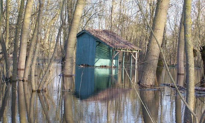 Saint-Hilaire-la-Palud Maison | Maison bois, climatisée, acces PMR, 400 € min, calme, au cœur du Marais poitevin