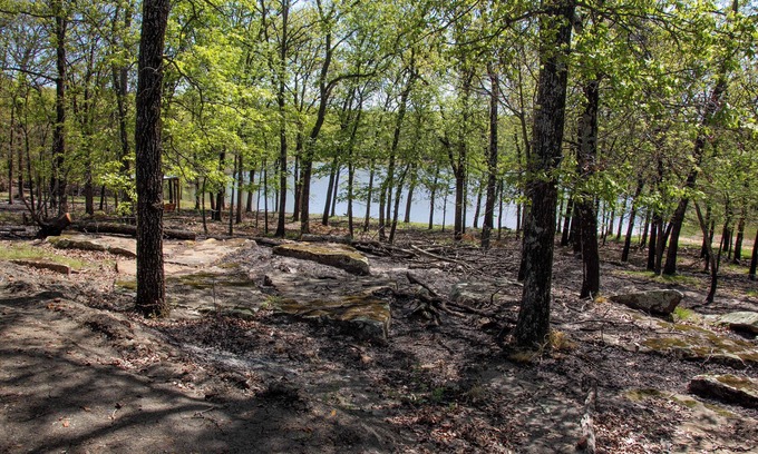 Carlisle Cabine | New Cabin on Private Lake with Hot Tub, Gas Grill, Fire Pit & Swings