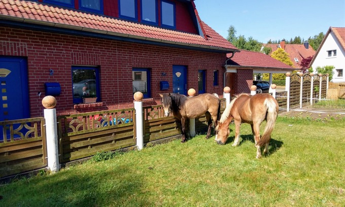Bomlitz Maison | New Comfortable vacation home145m² garden/barbecue area,800m² playground, leisure park