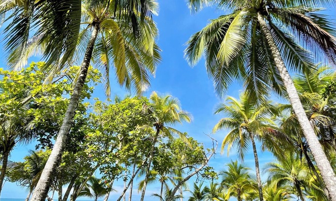 Central Pacific Coast Maison | NEW DIRECT BEACHFRONT VILLA, 2 BR, 2bath-stunning sunsets- discounts, book now