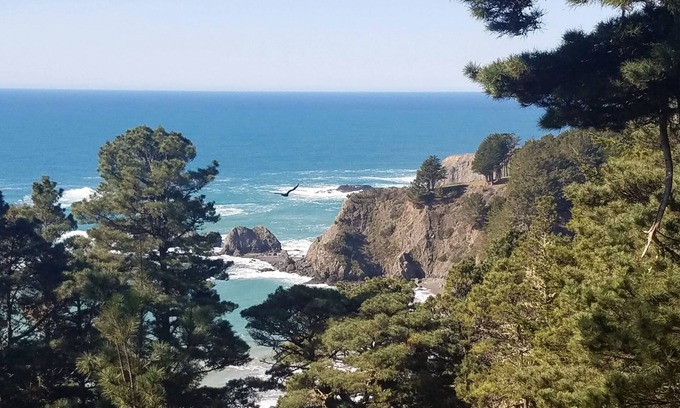 Albion Maison | NEW! Experience the awe-inspiring views over the rugged Pacific Ocean.