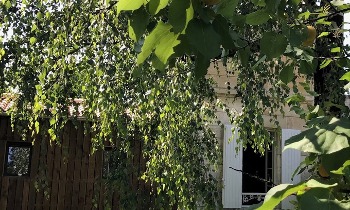 Centre Ville Maison | New L'horizon gîte in an exceptional town location. Free parking