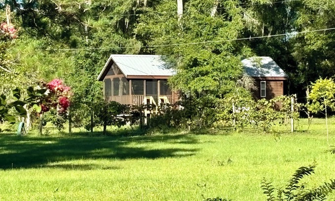 Tallahassee Cabine | New Lakeside Cabin in Tallahassee, secluded & near town