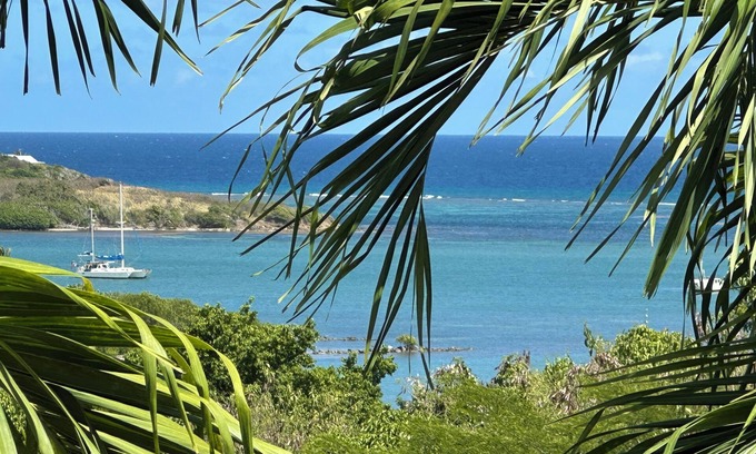 La Grande Princesse Villa | Large villa on St. Croix USVI with pool and view.
