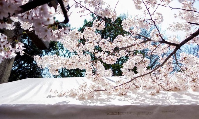 Ueno Appartement | New/Luxury#5mins to Station#Max8ppl#Free WIFI#