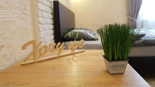 Kosuv Stary Appartement | NEW Luxury Studio Apartment
