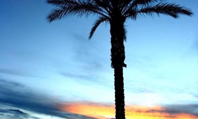 San Tan Valley Maison | NOUVELLE ouverture MAINTENANT! 3 piscines chauffées GOLF Palms Mtns & Sunsets ... Bienvenue!