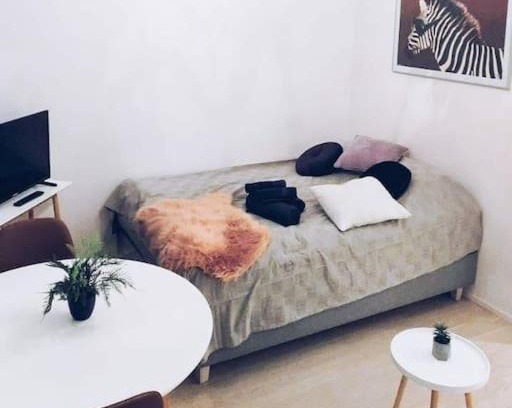 Vantaa Appartement | New Studio Zebra near Airport