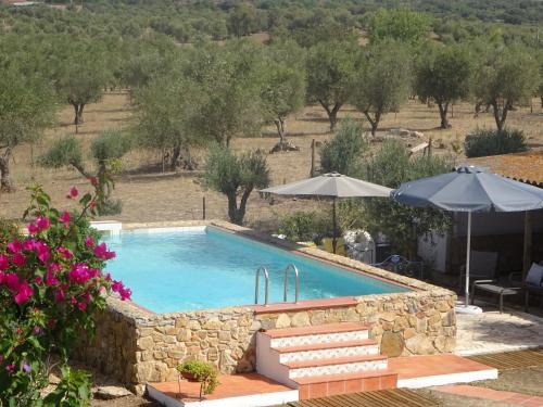 Alvito Maison | New Village