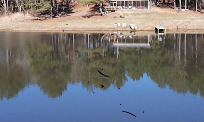 Batesville Cabine | Newly Built Cabin with a 2.5 acre Lake on 120 Acres of Private Land