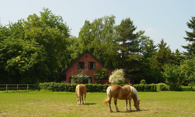 Lindern Maison | Maison confortable 4 *, meubles neufs, possibilité de faire de l'équitation