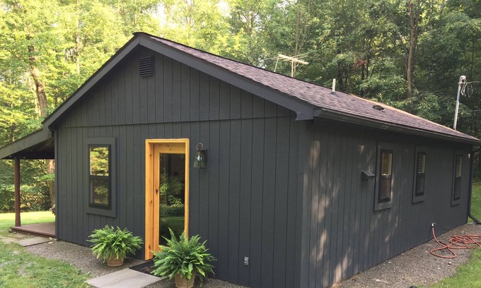 Unadilla Cabine | Newly renovated modern cabin in the Catskills!!
