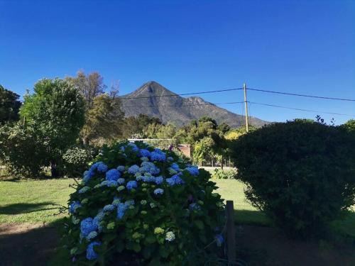 Storms River Maison | Next to Heaven Guesthouse
