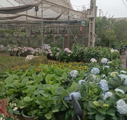 Huyen An Lao Maison | Nhà Trọ Quang Hưng