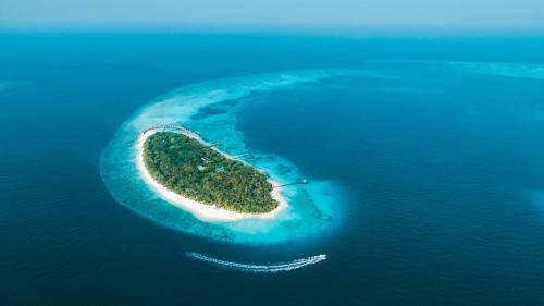 Fonimagoodhoo Station Balnéaire | NH Collection Maldives Reethi Resort
