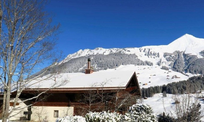Lauenen Appartement | Nice apartment for 4 guests with WIFI and balcony