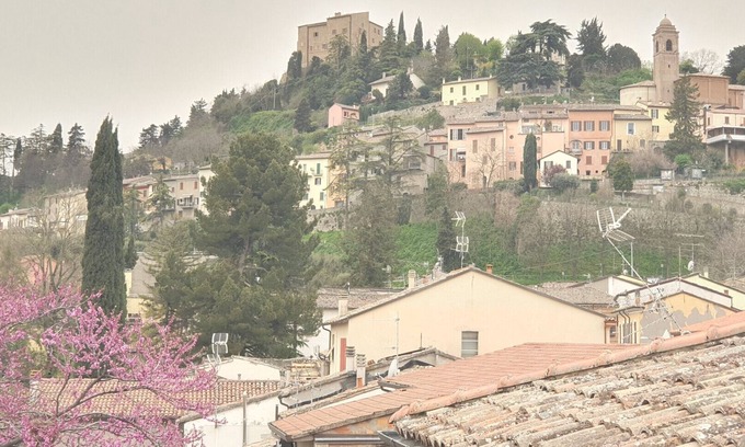 Bertinoro Appartement | Nice apartment with independent entrance at the foot of Bertinoro
