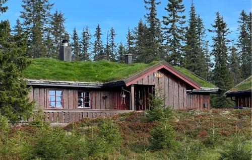 Sjusjoen Maison | Nice Home In Sjusjøen With Sauna