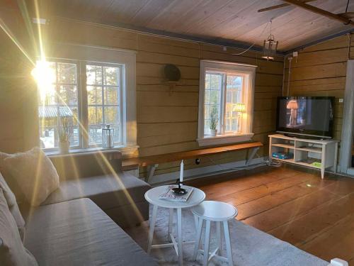 Bollnas Maison | Nice ski in ski out cabin