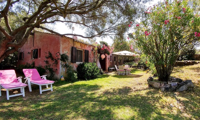 Olbia Maison | Villa avec grand - Costa Smeralda - Sardaigne