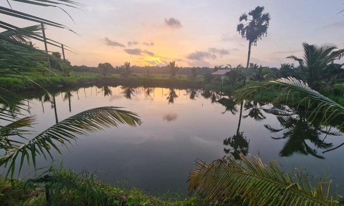 Palakkad Autre | Nila Organica Farm Stay