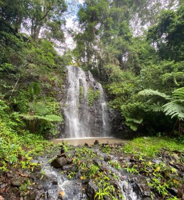 Nimbin Maison | Nimbin waterfall retreat