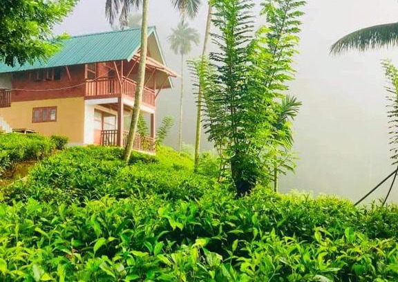 Kotapola Maison | Niwahana sinharaja