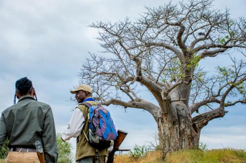 Kruger National Park Autre | Nkula Camp - Pafuri Walking Safari's