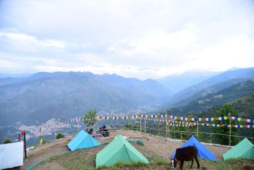 Chamba Autre | Nomadic Chamba By Eco Travellers