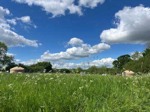 Swindon Autre | Nordic Glamping at Botswicky - a nature based retreat