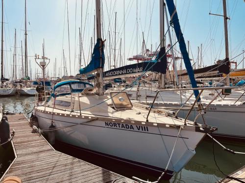 Lisbon Location De Bateaux | Nortada Central Boat Escape