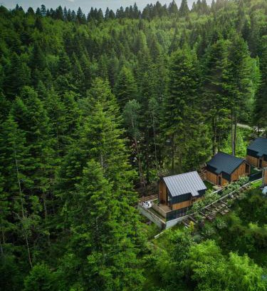 Sinaia Maison | Norway Cabins