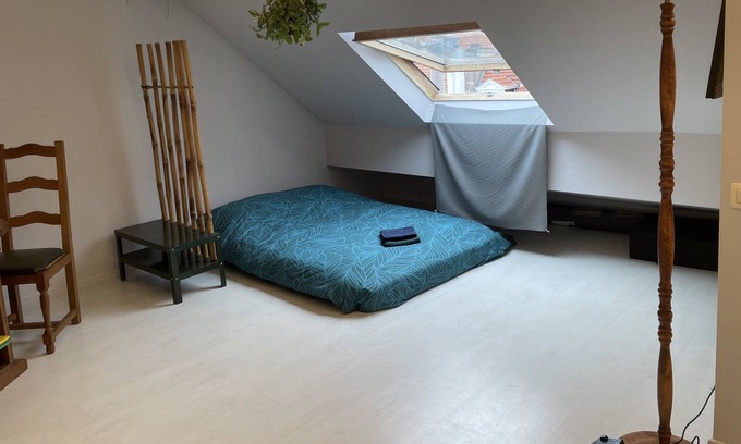 Sint-Gillis Appartement | Novisa Attic Apartment