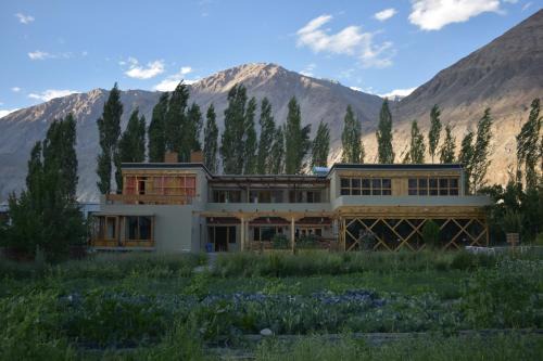 Nubra Valley Maison | Nubra Ecolodge