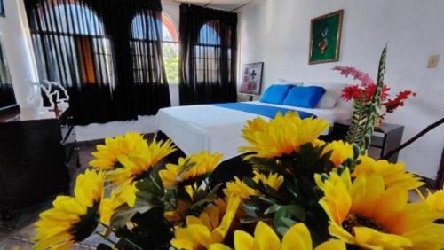 David Appartement | NUEVA ADM- Hotel Occidental