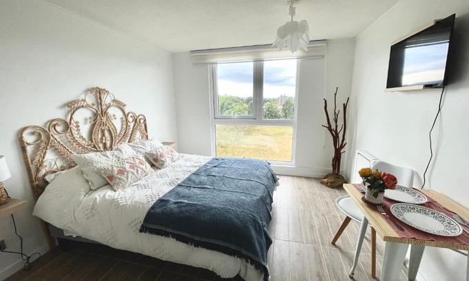 Valdivia Appartement | Nuevo y Cómodo depto tipo Estudio