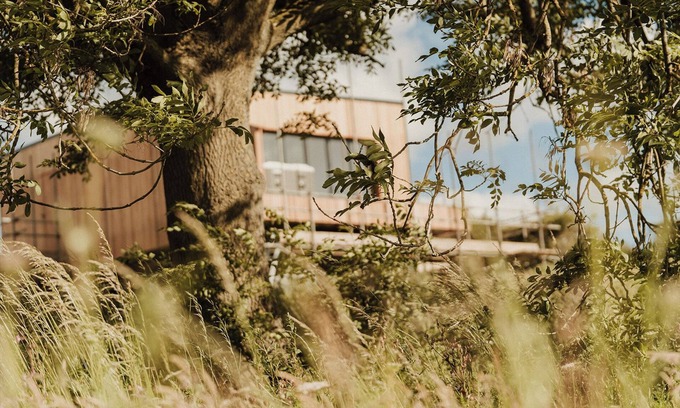 Wingate Cabine | Nuthatch Elevated Treehouse